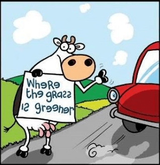 cow_green